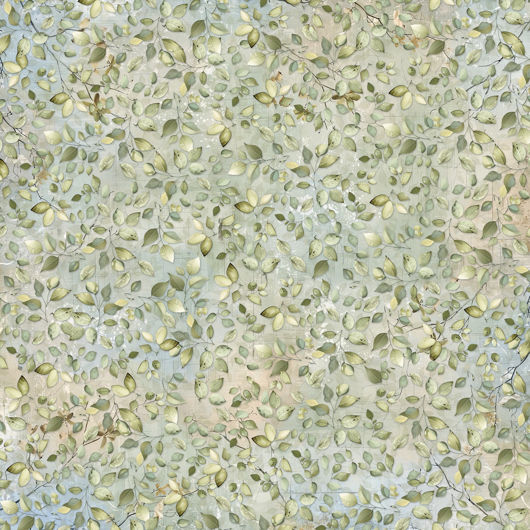 Northwoods 12x12 Card Print