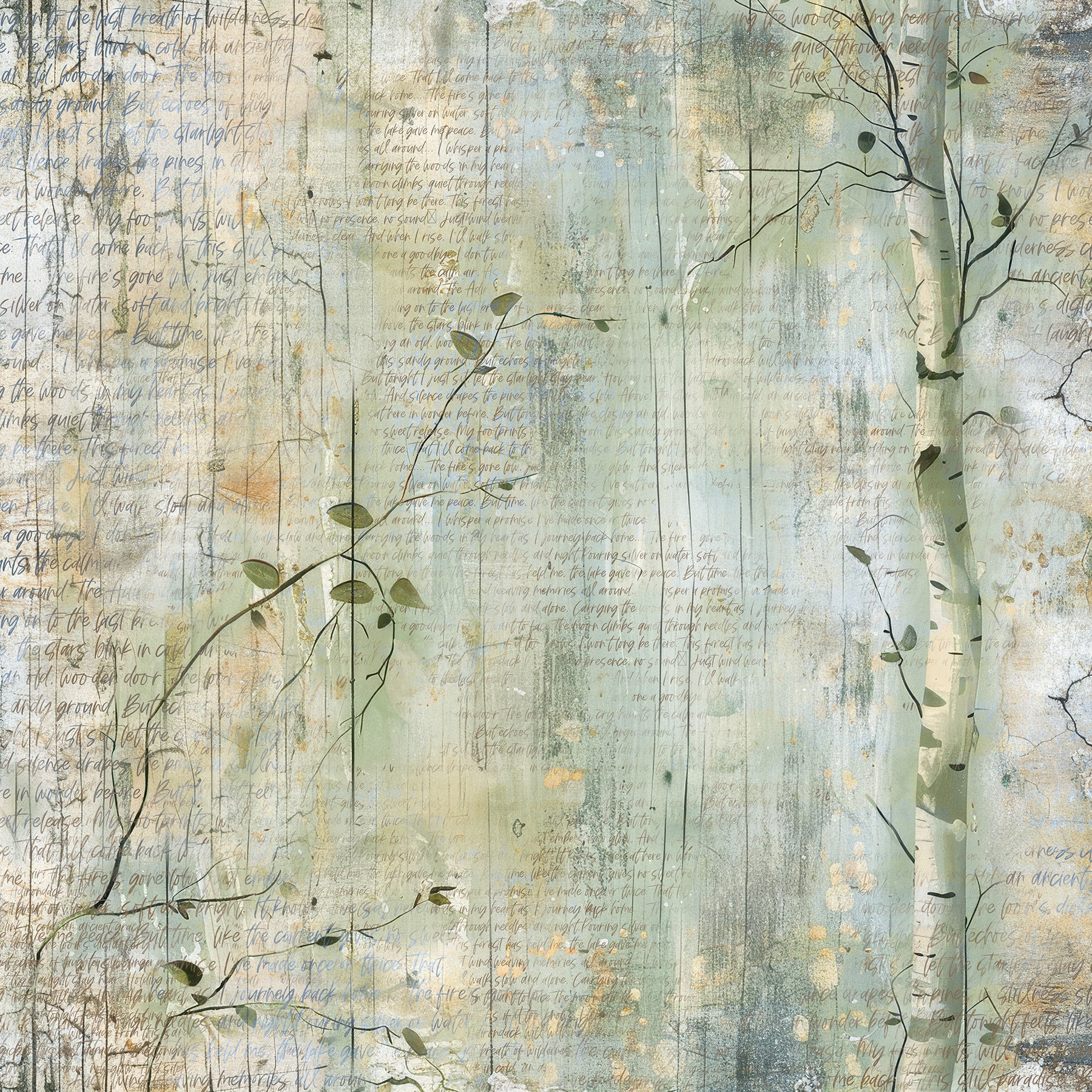 Northwoods 12x12 Script Print