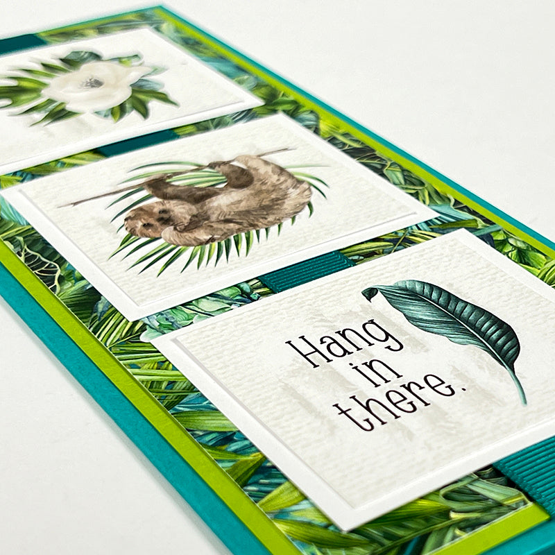 Rainforest Card Kit