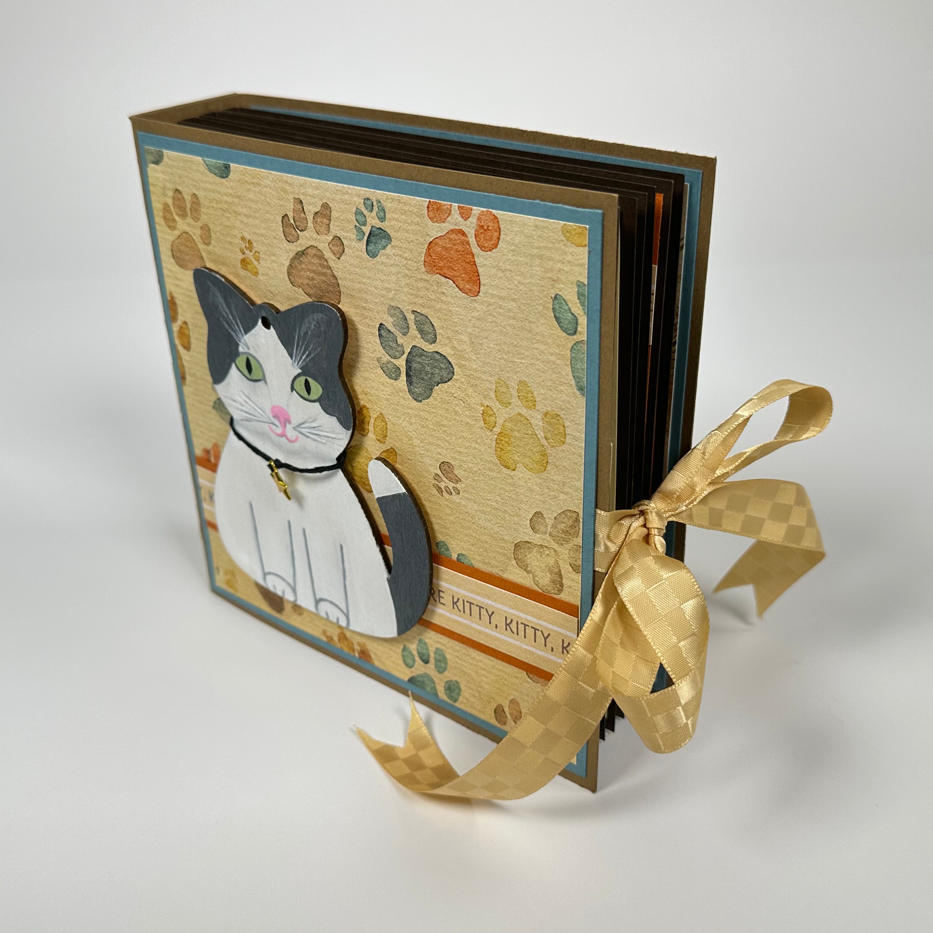 MEMBER Album Online Class
