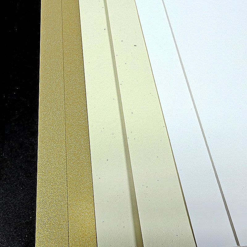 Black Tie 12x12 Plain Paper