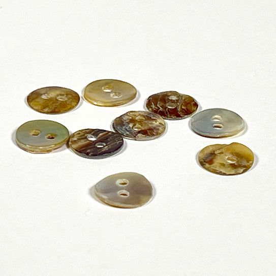 Reef Shell Buttons