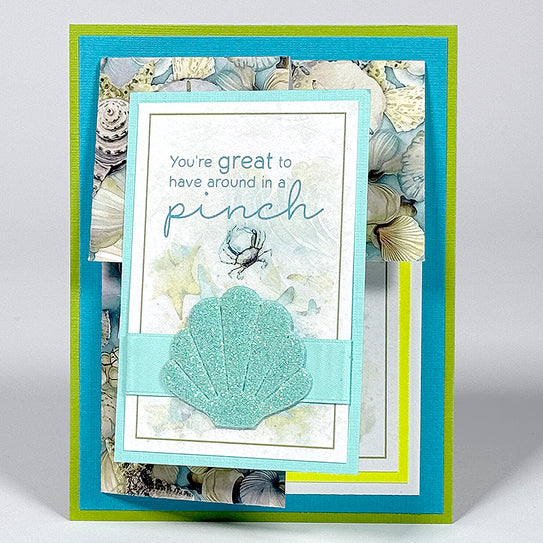 Beachcomber Shell Appliques