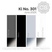 Kit No. 301 12x12 Plain Paper