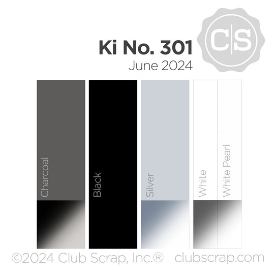 Kit No. 301 12x12 Plain Paper