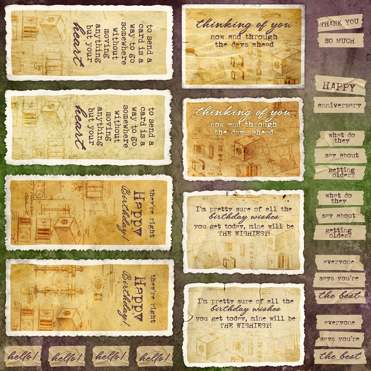 In Focus Card Cutaparts