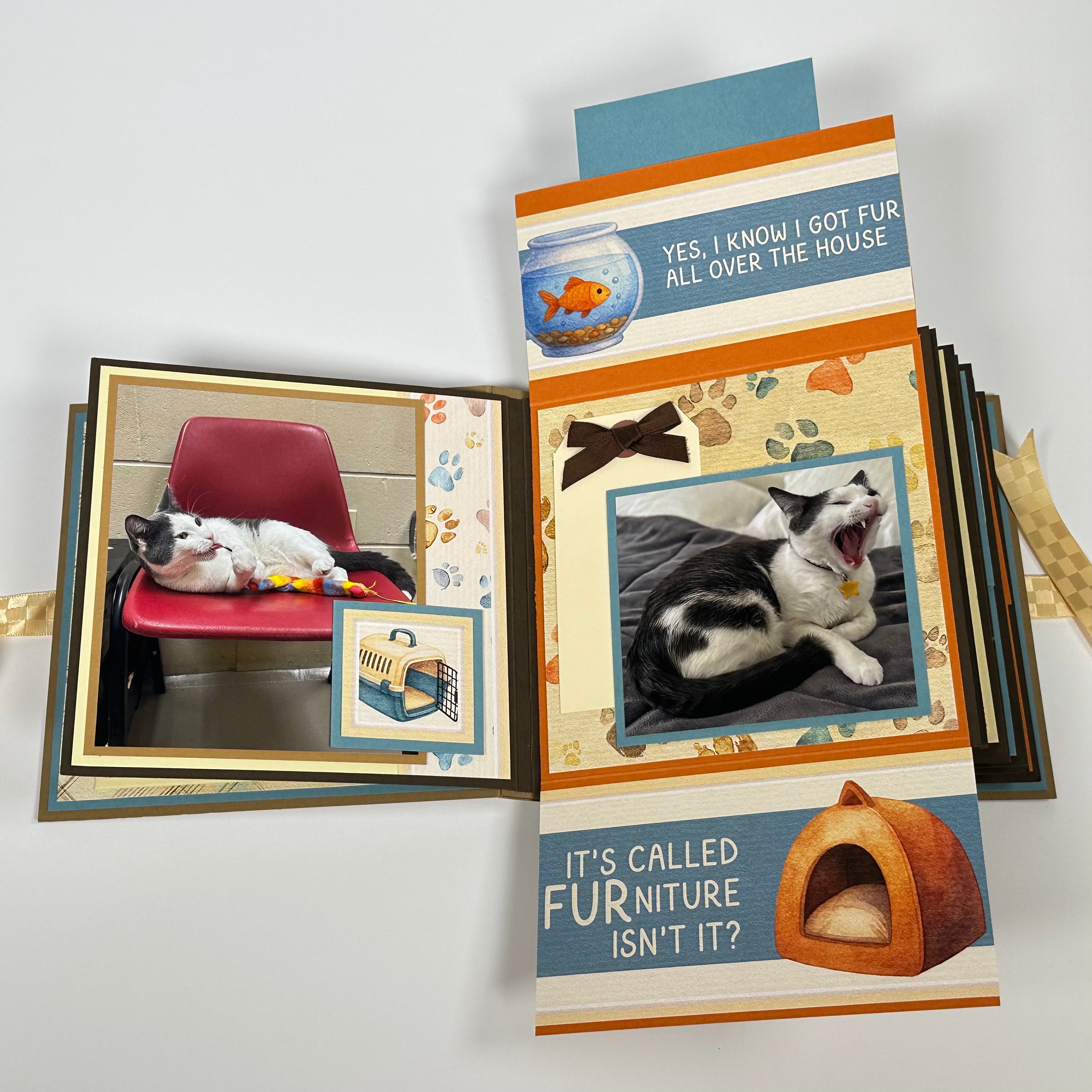 MEMBER Album Online Class