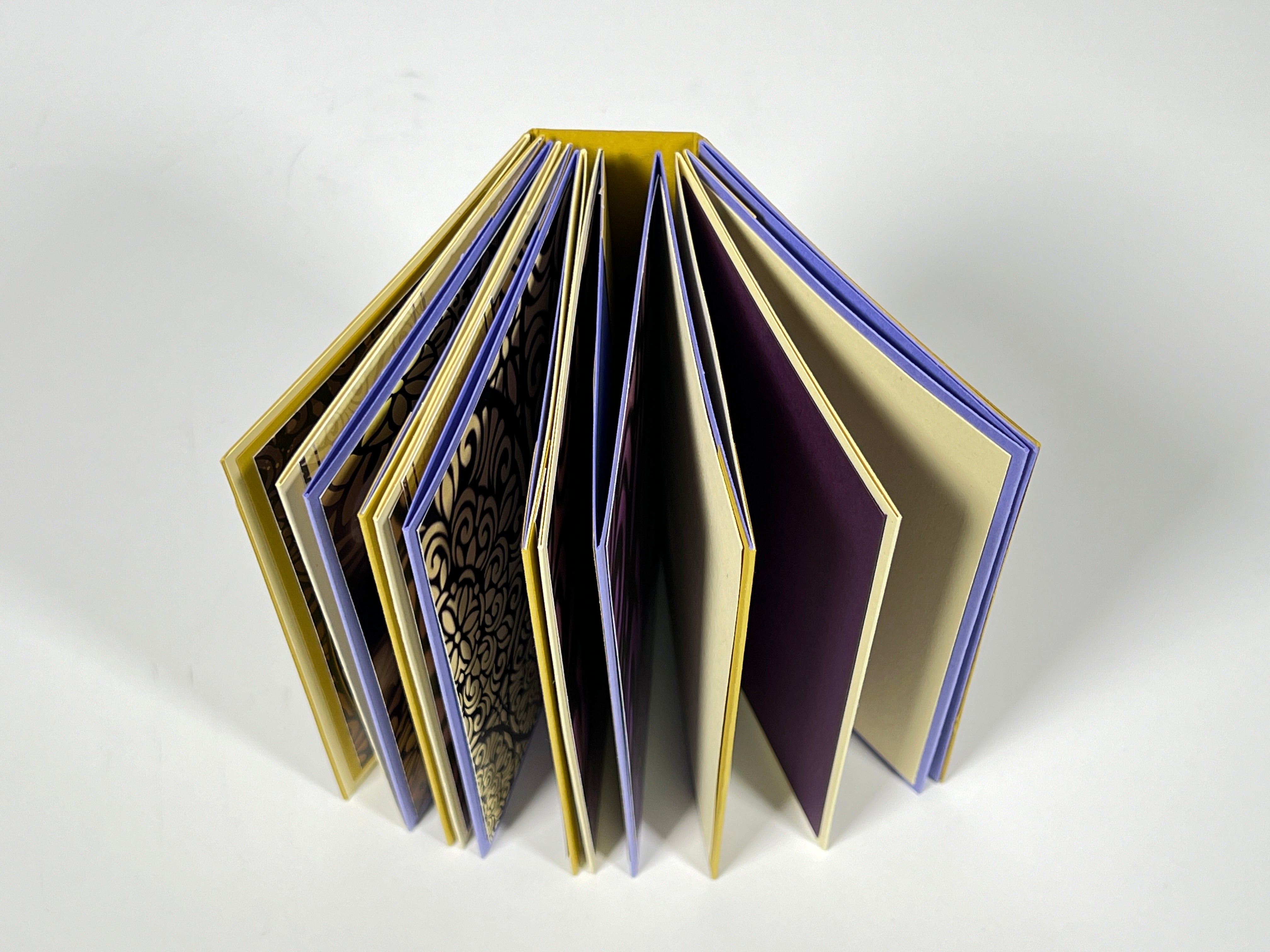 Accordion Book in a Box Online Class