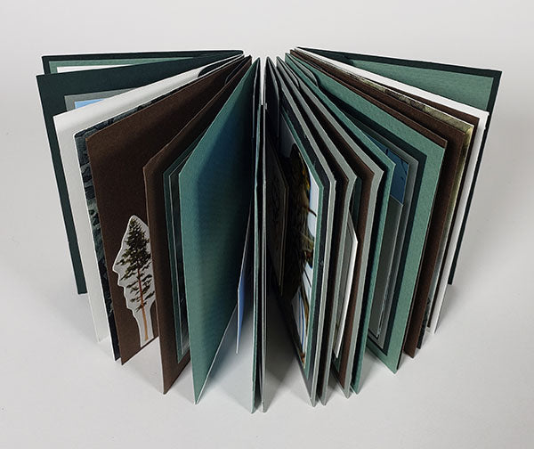 Mini Accordion Hinge Book Online Class