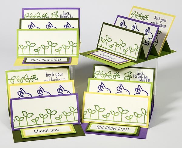 Deluxe Card Formula 14