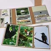 Twin Trifold Album Online Class